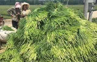 全国哪三大收购渠道蕞靠谱？