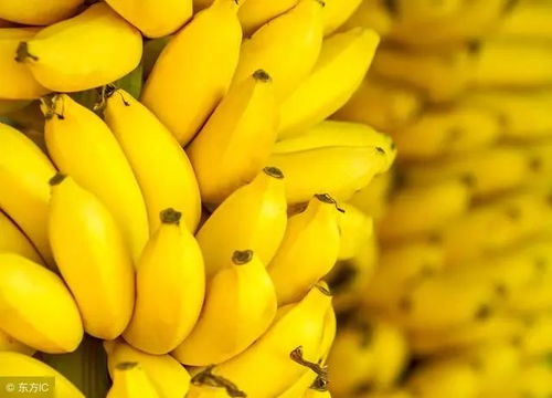 水果种植的烦恼：为什么苹果、香蕉等需要打农药？