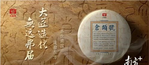 茶油之王：揭秘顶级茶饼价格及一斤最高售价