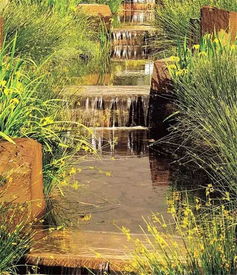 风景林地植物配置的秘诀：如何选择和搭配