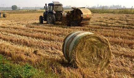 牡丹江秸秆变绿能：环保与新能源的完美结合！