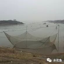 水库捕鱼自动进鱼网箱，网箱养鱼成本和利润如何计算？