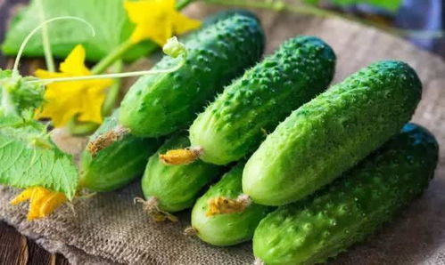 阳光控， 每天晒不够就摆烂