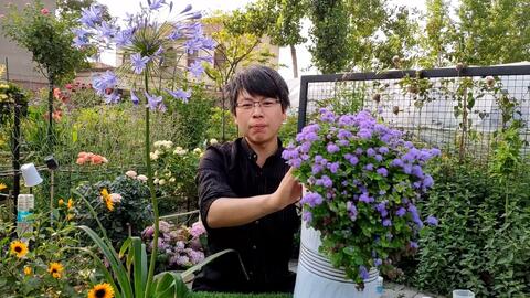世界最美花朵，第一名竟然是它