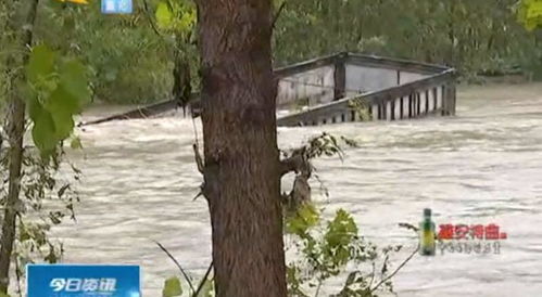 血泪教训：用建筑沙掺土，新枝长到10cm就发黄干枯！