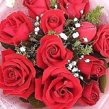 19朵玫瑰：花语与情感表达的艺术