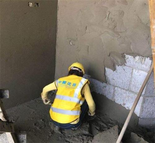 根系恢复与支撑的重要性