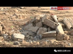进口芝麻疑遭偷梁换柱，竟变成砂土