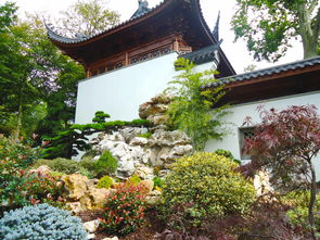 比利时中国园林的韵味