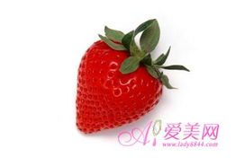 日常养护， 防范为主