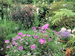 园林植物种植设计的原则有哪些