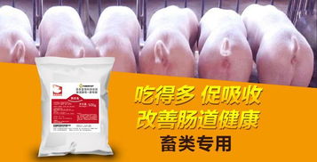 纤维有效控制断奶后腹泻，选择天然可溶性纤维最佳