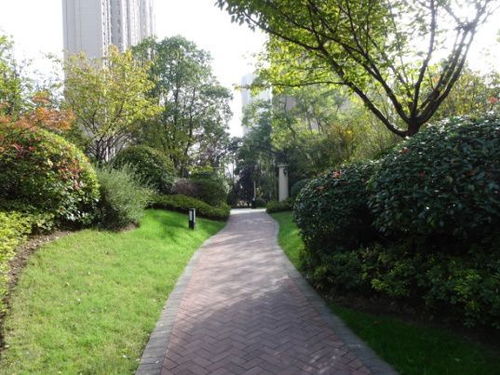 保护绿化，人人有责