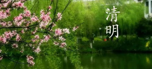 清明时节的特bie意义
