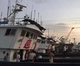 千岛湖渔政查获违钓鲢鱼185斤，违规捕捞现象严重