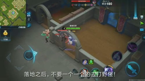 火焰蒂亚快速生长秘诀，你掌握了吗