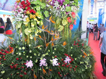 花馆的魅力：不仅仅是花的海洋