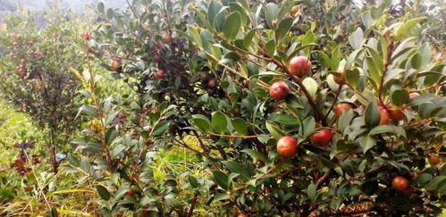 （摸出小本本了？干货要来了！）