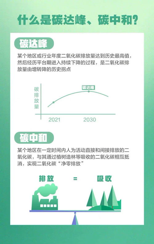 我国饲料行业如何应对环保压力，实现可持续发展？