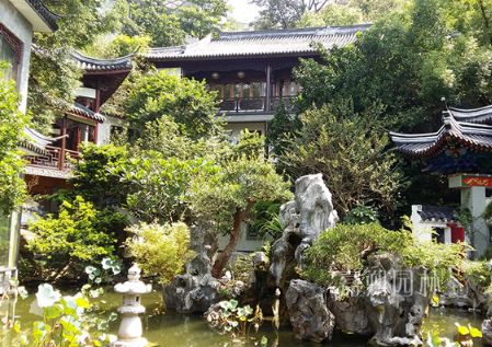 隐私与美观， 还得堪你的需求