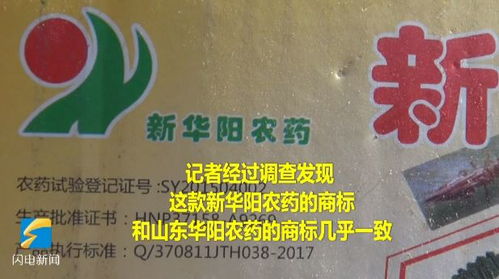 农户陈九如对金雷的评价