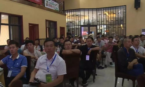 科技草莓种植技术，如何实现高产高效