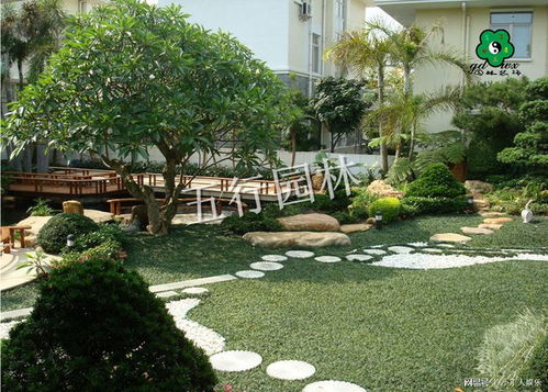 小庭院绿化设计：春意盎然的绿色艺术