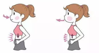 新生犊牛呼吸问题揭秘：呼吸困难的成因与对策