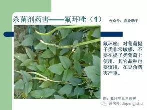 使用方法，我来告诉你