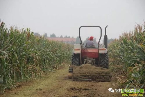 怎么防范除草剂对秸秆的伤害？