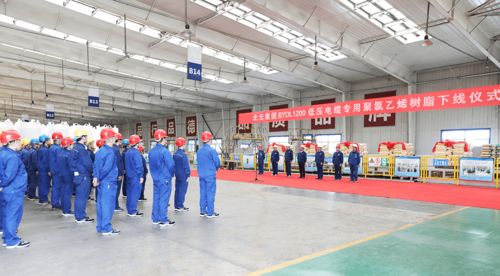 云南新龙矿物质饲料有限公司在云南饲料市场的发展现状如何？