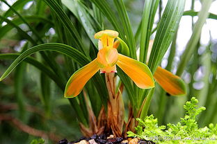 光线选择指南：实测三种光线效果对比