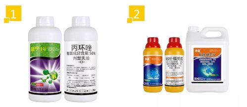 丙环唑防治香蕉叶斑病，效果怎么样？