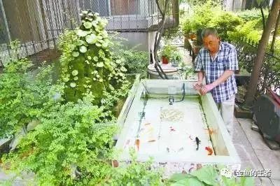 基本农田上挖塘养鱼违规