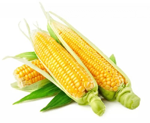 煮玉米时间和火候是关键？如何掌握火候让玉米更美味