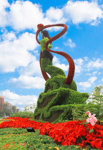 节日绿意， 选择有讲究