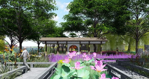 拙政园的景观生态性探秘