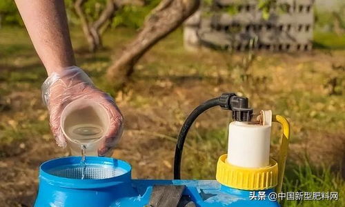 乙草胺的奇妙世界