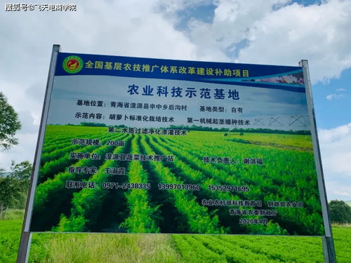 青海湟源县迎来万亩青稞订单，助力当地农业发展