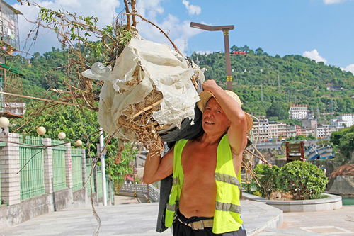 修剪、 整形与除积雪