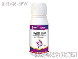 白僵菌杀虫剂有毒吗？它是一种怎样的生物源杀虫剂？