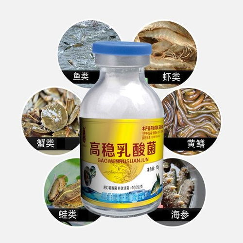 如何提高阿维菌素在龙虾塘的使用效果