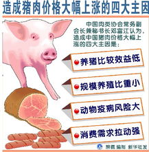 海南海口猪头肉价格近期波动大，是受哪些因素影响？