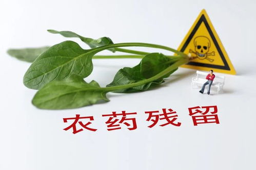 一、 纸片速测卡：简单到不能再简单