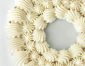 奶油漂流月季的美丽邂逅