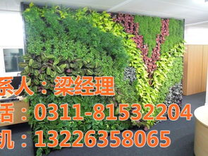 室外植物墙在冬季该如何进行科学的养护和保暖处理？