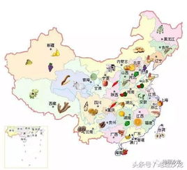 中国哪个地区山竹产量最多？