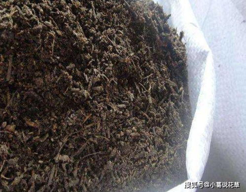 半边黄喜肥沃、排水良好土壤，适温15