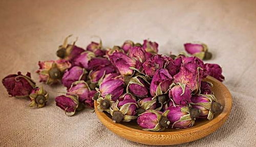 科学养护， 让玫瑰花geng鲜艳