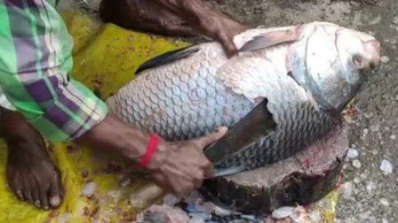 为了鱼儿， 咱们得好好保护环境